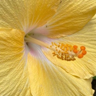 nanc3mber's profile picture. 