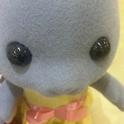 o_oayo_o's profile picture. 取引垢 成人済