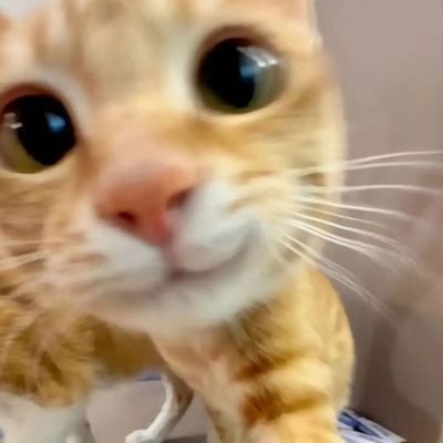 Tixnpopo's profile picture. 