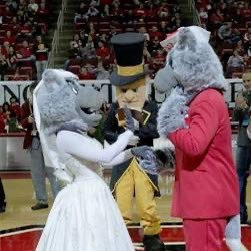 depressedtuffy's profile picture. uncertified ball knower | Toilet-Clogger | pack by 90 | J-E-T-S JETS JETS JETS | GTHC (also fuck Clemson) | go wake as long as they aren’t playing state