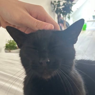 Cecillllie's profile picture. 