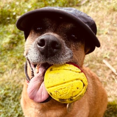 BillysBack's profile picture. 