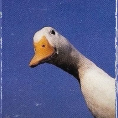 your_shantam's profile picture. 