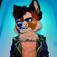 Copper (@red_dingodog) 's Twitter Profile
