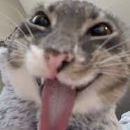 oli66469's profile picture. 