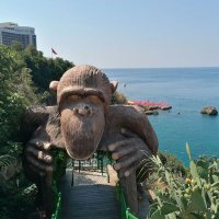 Astronom (@astronombh) 's Twitter Profile