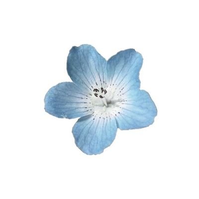 moonveils_'s profile picture. °☆ living for rainy days ; chentoh I son heungmin I lee kangin | Free Palestine!