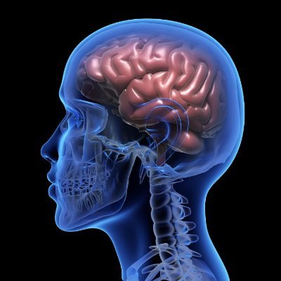 review_iq_'s profile picture. Translating decades of cognitive science into better ways to grow young minds. Rethinking how schools build (or break) intelligence.