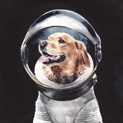 alexznt04's profile picture. Few are degenerate enough to win