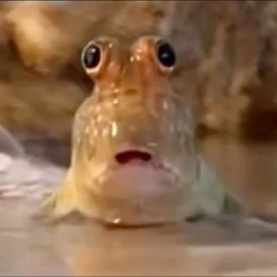 ㄒ卄乇乃ㄖ山ㄥ匚ㄩㄒさんのプロフィール画像