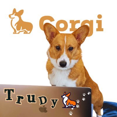 trudythecorgi's profile picture. chief corgi officer @thecorgicompany