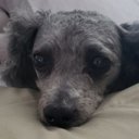 Lottie Moore - @lcomfort10 - Twitter