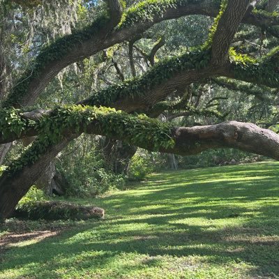 sarah_smith1976's profile picture. 