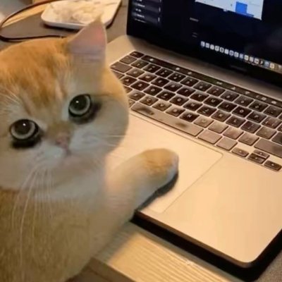 pjs_logs's profile picture. supposedly a guy who "wants" to code ✨