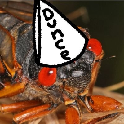 Robot Birds,insect,mecha,robots n Toku Enthusiast,i like to collect and draw robots,18,Adhdtistic,#1 cicada autist https://t.co/caQTmKlMIY
