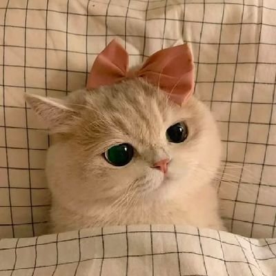 🤍وأسألك قُرة عين لا تنقطع.
🫶🏻هنا مدينة الحب 🫂