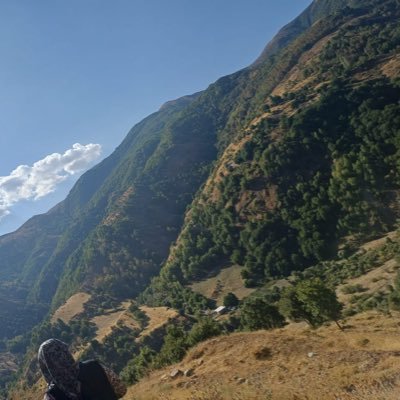 RojerbissSeve's profile picture. =ŞEVÊ=