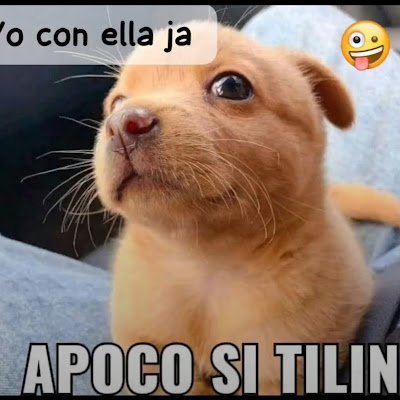 Eliasronal78620's profile picture. 