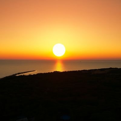 alejandrooodg's profile picture. 