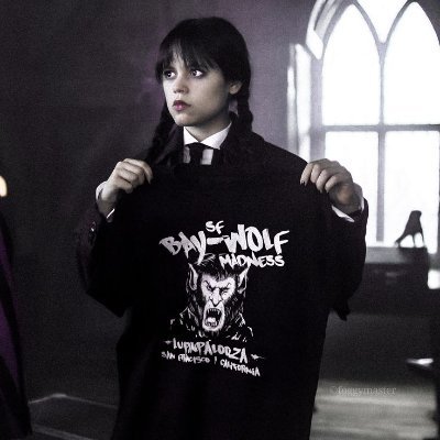 - official kid of Leon Kennedy and Ada Wong (no, really)
- he/him (non binary)
- 21y
- MCRMY BTW
- TCFSR BABY
-
