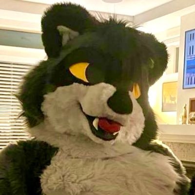 AD account of @fritzraccoon :3 be prepared for B.B.B: blowjobs, booty and booby.