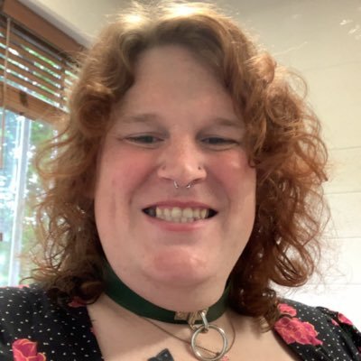 SaneAshleyR's profile picture. Trans, she/her, 35, mdni, Northern ID:( https://t.co/rw5HrhnGSZ )