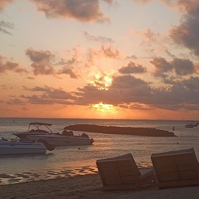 unixqueenx's profile picture. IT/OT Cybersecurity, Risk Management, server builds, networks, sys adm,  math, scripting, cloud, routing, firewalls