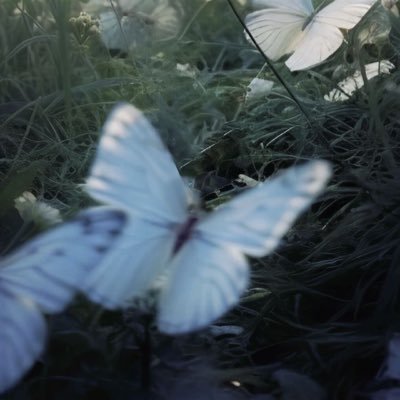 tiredsun8's profile picture. 
