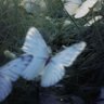 tiredsun8's profile picture. 
