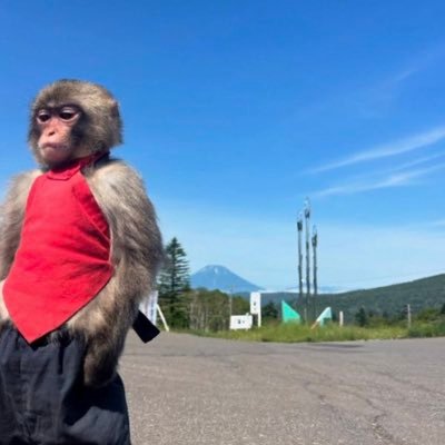 please make sure to follow @iceluxtye official page the newest kid in the 🧱 songs available on all platforms. catch the vibe on all socials ABUJARTIST
