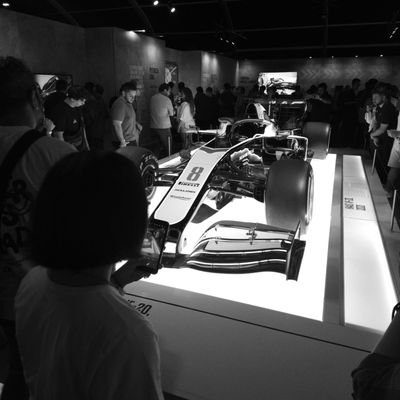 didelfina_'s profile picture.