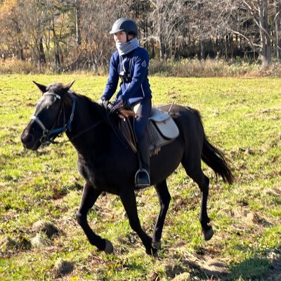 saya8naka's profile picture. 社会人→ KAU M1 // AI & Creativity // Art, Technology, Nature🐬// 好き→✈️🐎🌲🐶🌷🌏// https://t.co/ihtgj7f6zF