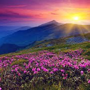 _mosheperetz_'s profile picture. Building tools I wish I had