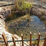 _maorbenzn_'s profile picture. I write long threads so you don’t have to