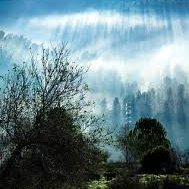 _idodror_'s profile picture. 