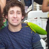 bug joe…💭 (@bugjoethinker) 's Twitter Profile