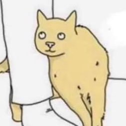 fbjouyn's profile picture. just a gay guy not possessed by the woke alphabet demons ✝️🇺🇸 🌻Psalm 37:1