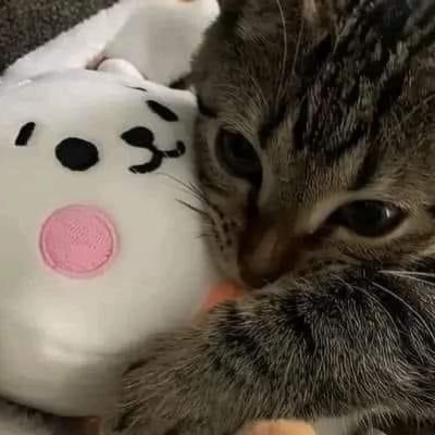 a_enmrd98's profile picture. 