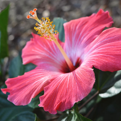 IMacadams16240's profile picture. 