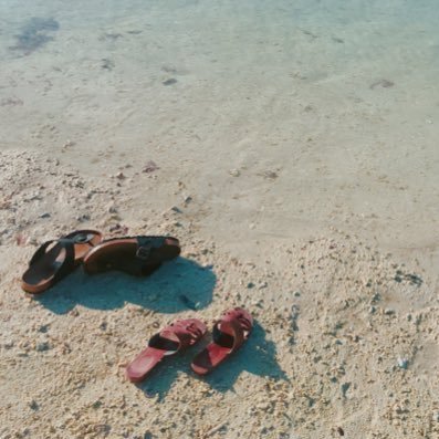 0325_bad's profile picture. 札幌南→京都大学→ミラノ工科大学（2022.09〜）建築×バドミントン