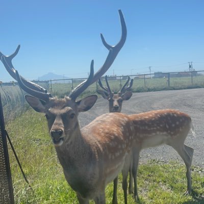 ezowakkanai's profile picture. 