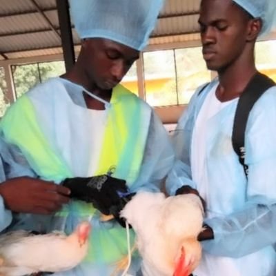 HabibRache77361's profile picture. Exploitation agricole & Éleveur professionnel