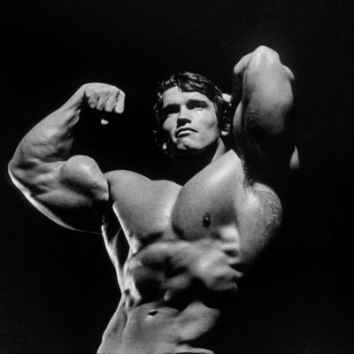 0xblackhole84's profile picture. 