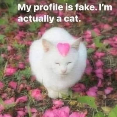 Ndouble0r1911's profile picture. tfatfit