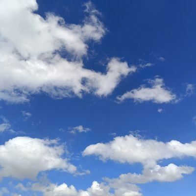 bettyhoc1's profile picture. 