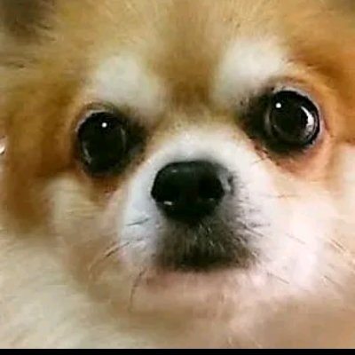atmn12381's profile picture. 