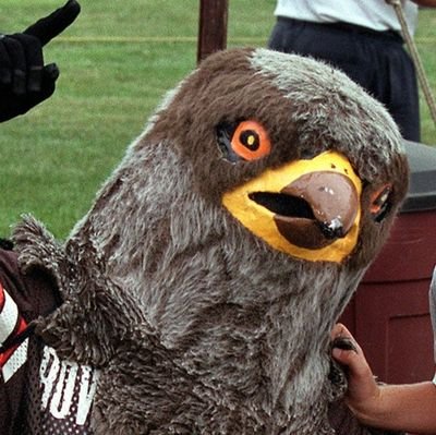 Christian Stoever fan account, Wood County nationalist. Bad takes on Cleveland sports too #AyZiggy #TurfTheStell #CBJ #GuardsBall (not affiliated with BGSU)