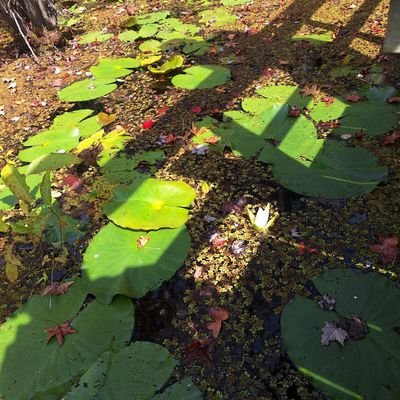 r_perez0807's profile picture. 23 | Myrtle Beach, SC
weather and nature enthusiast ⛈🌿
 snap: robert.perez8