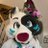 RylieTheCollie's profile image