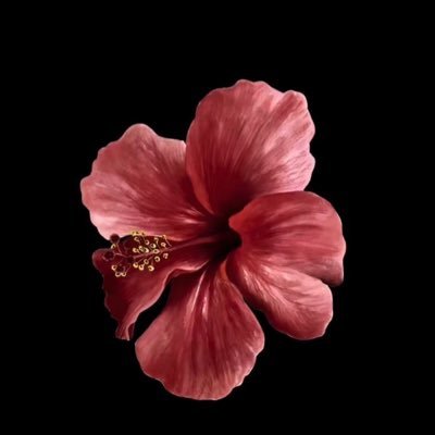 RetajDt's profile picture. Clinical Nutrition Student |#UQUCN45